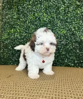 processed/b9f8af1c-1472-4a05-9021-71416eb55cf7/listing/5c6ba74d-bdda-4e5e-b842-7f8aa6797ef4/6b4efd02-1978-4c66-9828-f459ba0d3372