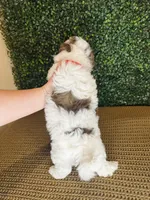 processed/b9f8af1c-1472-4a05-9021-71416eb55cf7/listing/5c6ba74d-bdda-4e5e-b842-7f8aa6797ef4/b7b065a2-af0b-458d-bdb2-c8ca549024f5