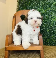 processed/b9f8af1c-1472-4a05-9021-71416eb55cf7/listing/5c6ba74d-bdda-4e5e-b842-7f8aa6797ef4/c121451d-99f2-4c78-9e51-1d37a44eff2a