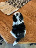 processed/b9f8af1c-1472-4a05-9021-71416eb55cf7/listing/baaee244-9c67-42c3-ab6b-66a0f68c5091/2f72f424-23cc-4710-becf-cea2a39fcbdd