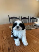 processed/b9f8af1c-1472-4a05-9021-71416eb55cf7/listing/baaee244-9c67-42c3-ab6b-66a0f68c5091/646f31ec-c093-431b-9e63-f5f7bdf4dc6b