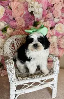 processed/b9f8af1c-1472-4a05-9021-71416eb55cf7/listing/baaee244-9c67-42c3-ab6b-66a0f68c5091/6b458640-173e-4991-b7aa-e1bf979d6db7