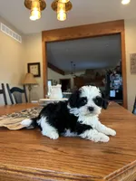 processed/b9f8af1c-1472-4a05-9021-71416eb55cf7/listing/baaee244-9c67-42c3-ab6b-66a0f68c5091/81481186-64fb-48b3-a988-092f9ca9432e