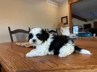 processed/b9f8af1c-1472-4a05-9021-71416eb55cf7/listing/baaee244-9c67-42c3-ab6b-66a0f68c5091/bed74cb9-88a3-4ba7-83da-6321ceb20548