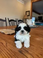 processed/b9f8af1c-1472-4a05-9021-71416eb55cf7/listing/baaee244-9c67-42c3-ab6b-66a0f68c5091/d1b04c2e-7176-4f29-9a1c-7c66dbde7adf