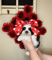 processed/b9f8af1c-1472-4a05-9021-71416eb55cf7/listing/baaee244-9c67-42c3-ab6b-66a0f68c5091/e78dc691-08d5-4127-ac21-4fa55fe28f3a