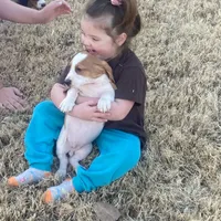 processed/ba0ac1ce-7e75-480d-82d1-0ad382b651bd/facility/606c7a51-0770-452e-82a9-7e543cf21998