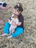 processed/ba0ac1ce-7e75-480d-82d1-0ad382b651bd/facility/606c7a51-0770-452e-82a9-7e543cf21998