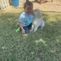 processed/ba0ac1ce-7e75-480d-82d1-0ad382b651bd/facility/a05ba889-e5a0-4e8e-bf1d-178512b845e1