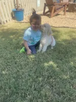 processed/ba0ac1ce-7e75-480d-82d1-0ad382b651bd/facility/a05ba889-e5a0-4e8e-bf1d-178512b845e1