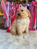 processed/ba0ac1ce-7e75-480d-82d1-0ad382b651bd/listing/3bf5ca37-82cd-4e37-9593-eeeacfb175e1/30cda2cf-7b7b-48cc-8867-c7051d055c21