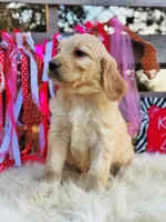 processed/ba0ac1ce-7e75-480d-82d1-0ad382b651bd/listing/3bf5ca37-82cd-4e37-9593-eeeacfb175e1/b8756034-906f-49e6-8e21-cf6c187403bf