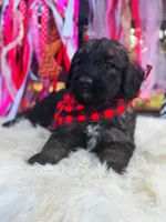 processed/ba0ac1ce-7e75-480d-82d1-0ad382b651bd/listing/6fd83d5a-987b-41d7-be19-257064fce744/f82e7ab9-2a58-4535-a7d4-4ee72974a63c