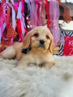 processed/ba0ac1ce-7e75-480d-82d1-0ad382b651bd/listing/733c8b7d-56ef-4cef-acae-cc56b538d504/95cb1f74-346d-412a-9338-2d10e986e113