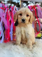 processed/ba0ac1ce-7e75-480d-82d1-0ad382b651bd/listing/733c8b7d-56ef-4cef-acae-cc56b538d504/d014451e-05c8-4db6-b319-b45869c47c3b