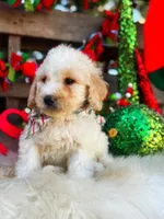 processed/ba0ac1ce-7e75-480d-82d1-0ad382b651bd/listing/7409a9f4-ef29-4e33-8514-42224efbb042/b32e977e-3d01-4bd3-b88a-e09f42073f6f