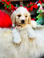 processed/ba0ac1ce-7e75-480d-82d1-0ad382b651bd/listing/7409a9f4-ef29-4e33-8514-42224efbb042/d9748509-fb0f-4c66-81cc-be5b100c7a1b