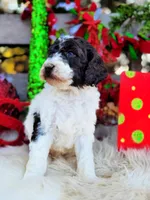 processed/ba0ac1ce-7e75-480d-82d1-0ad382b651bd/listing/a5aa6809-6737-42b8-a1bf-4e84802ee5dc/419acdb9-20db-4cc7-995a-ac4a513826ac