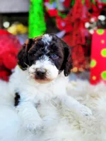 processed/ba0ac1ce-7e75-480d-82d1-0ad382b651bd/listing/a5aa6809-6737-42b8-a1bf-4e84802ee5dc/a05eb285-4302-465f-bac6-10c4e8c84c1b