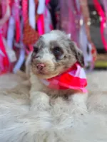 processed/ba0ac1ce-7e75-480d-82d1-0ad382b651bd/listing/d787a0ea-7256-4d4f-9e92-c5b98436db36/447dd3e5-6977-4ac2-b056-1e8f5473dfbd