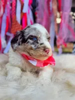 processed/ba0ac1ce-7e75-480d-82d1-0ad382b651bd/listing/d787a0ea-7256-4d4f-9e92-c5b98436db36/6b5850f4-a241-46cc-b6fb-34fb3b61613f