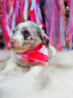 processed/ba0ac1ce-7e75-480d-82d1-0ad382b651bd/listing/d787a0ea-7256-4d4f-9e92-c5b98436db36/a03a6f13-1432-4cda-a9d1-113b6a5e6d5e