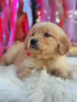 processed/ba0ac1ce-7e75-480d-82d1-0ad382b651bd/listing/e1a95ba7-cecb-4097-81bf-79535a0efb4b/398fd44b-1a19-469b-a002-20e59f44161a