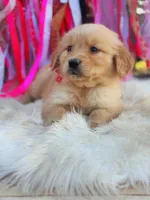 processed/ba0ac1ce-7e75-480d-82d1-0ad382b651bd/listing/e1a95ba7-cecb-4097-81bf-79535a0efb4b/fcfc989c-9eb2-4c42-9af7-0fce8e24f222