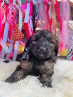 processed/ba0ac1ce-7e75-480d-82d1-0ad382b651bd/listing/f1e759c3-9c34-49b9-b527-b049ef60ef56/c58ab094-b2d1-4857-814f-5264e3758b3a