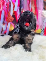 processed/ba0ac1ce-7e75-480d-82d1-0ad382b651bd/listing/f1e759c3-9c34-49b9-b527-b049ef60ef56/d37b55b5-a5a5-4445-84b7-762d11db7e81