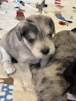 processed/ba1b3a3e-5d48-4c99-8247-58af9ade82db/facility/0a0a7ef2-b149-49c9-9db3-bd71edc0a4ad