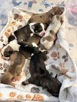 processed/ba1b3a3e-5d48-4c99-8247-58af9ade82db/facility/154c3074-d223-4630-8c83-770fe728cddc