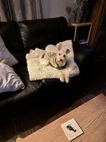 processed/ba1b3a3e-5d48-4c99-8247-58af9ade82db/facility/19d49408-4f6e-426b-a75c-7a0b432dbd7e