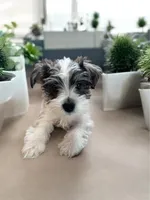 processed/ba1b3a3e-5d48-4c99-8247-58af9ade82db/facility/23ddd336-f3b8-4a99-a301-5063657776b1