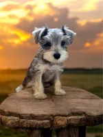 processed/ba1b3a3e-5d48-4c99-8247-58af9ade82db/facility/58c354e5-f2ec-4057-bf8b-8ae75ca0b993