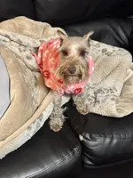 processed/ba1b3a3e-5d48-4c99-8247-58af9ade82db/facility/a795d96e-3bd9-4bb1-b4a7-f742175f7f6d