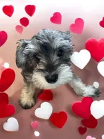 processed/ba1b3a3e-5d48-4c99-8247-58af9ade82db/facility/b73f7fb2-39eb-4a91-99c4-a4b4f9aa8f0b