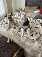 processed/ba1b3a3e-5d48-4c99-8247-58af9ade82db/facility/eeb011c2-39f5-42de-8ccc-5ebc2426822d