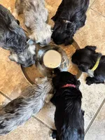 processed/ba1b3a3e-5d48-4c99-8247-58af9ade82db/facility/fa07376a-5468-49a0-9a9b-4ff30f7f7283