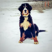 processed/ba1c3295-82a7-4ef8-b076-f65d7a8c8440/facility/362edeb3-8792-4d66-976a-5b4355108e56