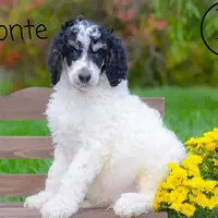 processed/ba1c3295-82a7-4ef8-b076-f65d7a8c8440/facility/bc48ae1e-a67b-46cf-9ea9-33731de65108