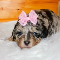 processed/ba1c3295-82a7-4ef8-b076-f65d7a8c8440/facility/be9007bc-b636-41e9-a270-221762073b37