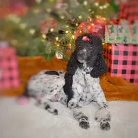 processed/ba1c3295-82a7-4ef8-b076-f65d7a8c8440/facility/dfa34824-3e2e-4e34-83f8-f7e537d385a9