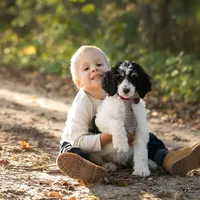 processed/ba1c3295-82a7-4ef8-b076-f65d7a8c8440/facility/f2c11f61-a65b-4644-9ea9-5fe6e42d2d34