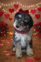 processed/ba1c3295-82a7-4ef8-b076-f65d7a8c8440/listing/fa3d33d2-f0fd-4ca9-a590-156724853c64/23f45017-f11d-46be-9aad-ca08db75a9ba