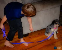 processed/ba1c3295-82a7-4ef8-b076-f65d7a8c8440/listing/fa3d33d2-f0fd-4ca9-a590-156724853c64/a049edcd-107d-4466-a535-0036140b611e