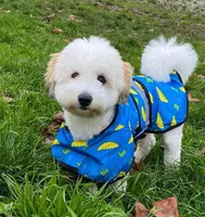 processed/ba1cf04d-ba89-49ef-98fe-638529eece57/facility/125471ad-0549-4326-a015-c15ae2486ac1