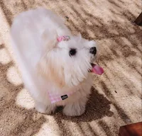 processed/ba1cf04d-ba89-49ef-98fe-638529eece57/facility/4070926a-1f17-40df-b5f6-9b9e50752177