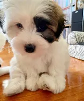 processed/ba1cf04d-ba89-49ef-98fe-638529eece57/facility/d1e5faa4-255b-4233-8675-6026e62bba27