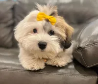 processed/ba1cf04d-ba89-49ef-98fe-638529eece57/facility/ffd4c773-5426-4556-a4b7-f26975f6c1c0